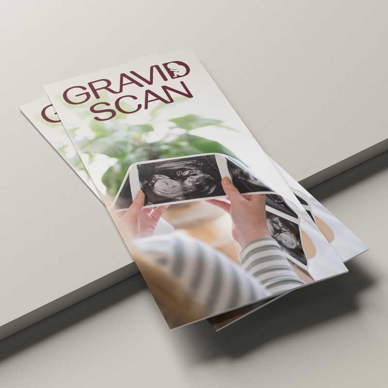 GravidScan flyer