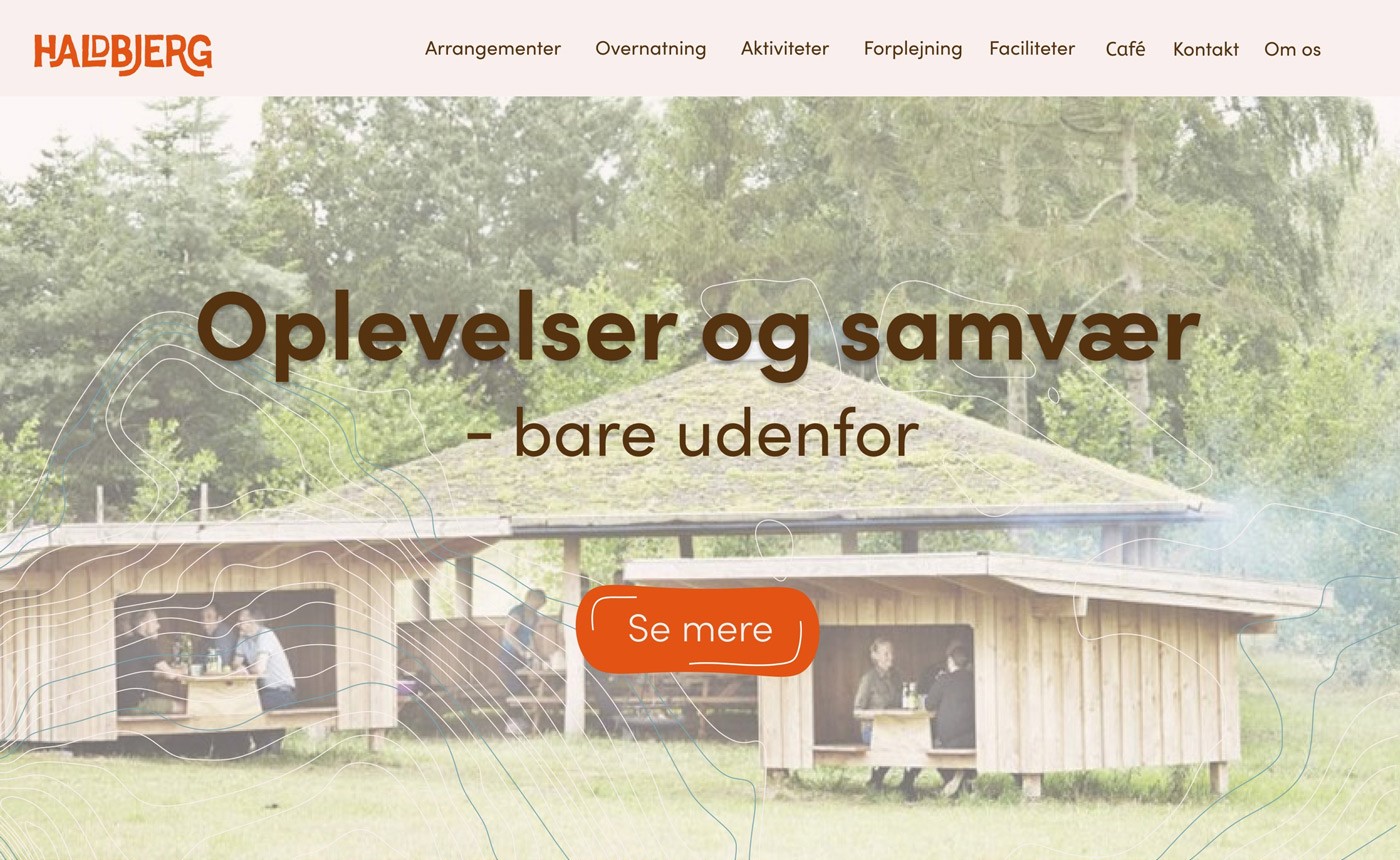 Haldbjerg website mockup