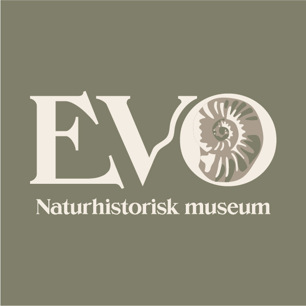 Evo museum