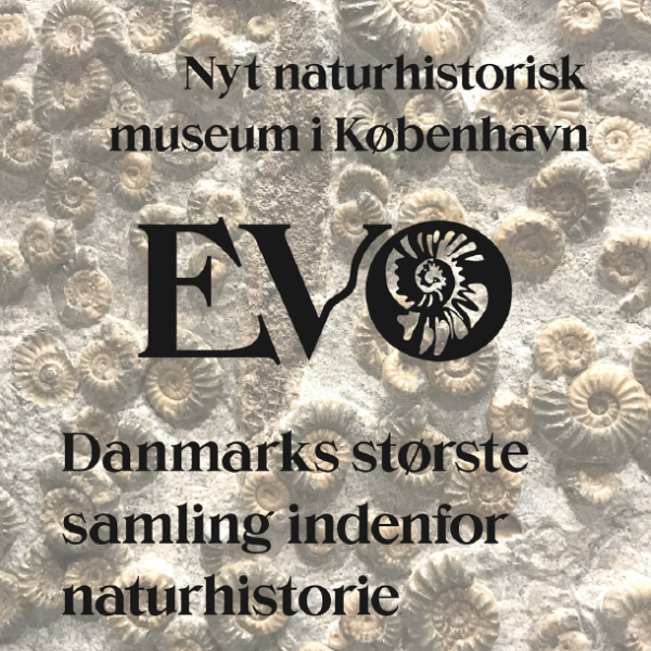 Evo museum